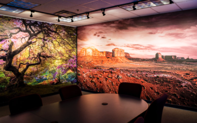 Pro Tips for Flawless Wall Graphics Installation